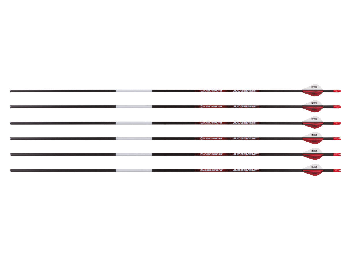 Bloodsport Judgement Arrow, 500 Spine, 6 Pack — image 1