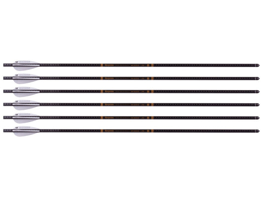 Benjamin M Series M600 Airbow Arrows, 6 pack — image 1