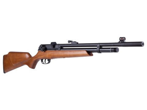 Beeman Raider PCP Air Rifle - Caliber 0.25 - FPS 800