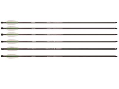 Benjamin M Series M600 Airbow Arrows, 6 pack