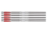 Umarex Air Javelin FishR Arrow