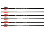 Umarex Air Javelin FishR Arrow