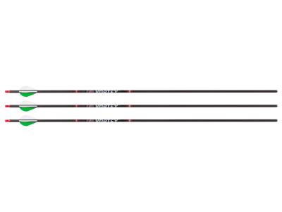 Bloodsport Prosecutor Arrow, 500 Spine, 6 Pack
