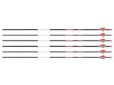 Bloodsport Prosecutor Arrow, 400 Spine, 6 Pack