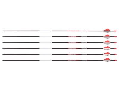 Bloodsport Punisher Arrow, 300 Spine, 6 Pack