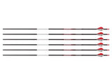 Bloodsport Justice Arrow, 400 Spine, 6 Pack