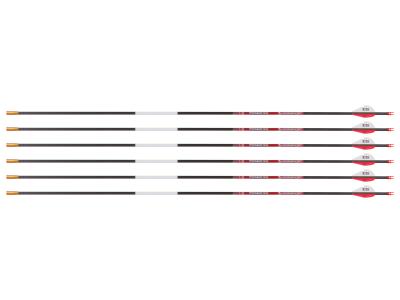Bloodsport Justice Arrow, 400 Spine, 6 Pack