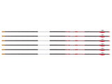 Bloodsport Justice Arrow, 350 Spine, 6 Pack