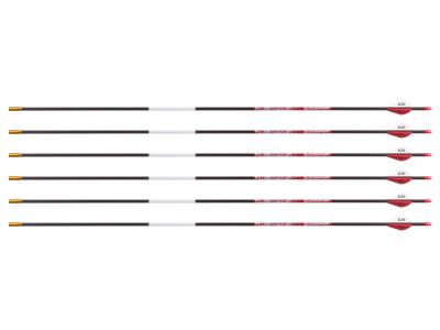 Bloodsport Punisher Arrow, 500 Spine, 6 Pack