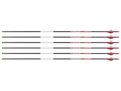 Bloodsport Justice Arrow, 500 Spine, 6 Pack