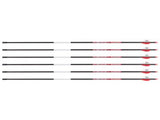 Bloodsport Prosecutor Arrow, 400 Spine, 6 Pack