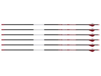 Bloodsport Punisher Arrow, 300 Spine, 6 Pack