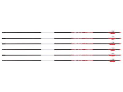 Bloodsport Punisher Arrow, 300 Spine, 6 Pack