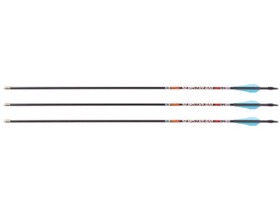 Bloodsport Prosecutor Arrow, 400 Spine, 6 Pack