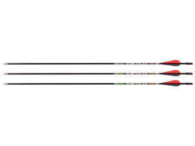 Bloodsport Punisher Arrow, 400 Spine, 6 Pack