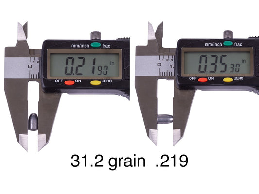 NSA Hollowpoint Slug .219 Cal, 31.2gr, 225ct - Caliber 0.22