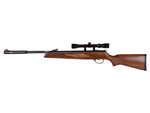 Hatsan 95 Air Rifle Combo, Vortex Gas Spring - Caliber 0.177 - FPS 1000