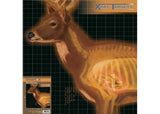 Champion X-Ray Paper Targets, Deer, 25x25  - 6pk