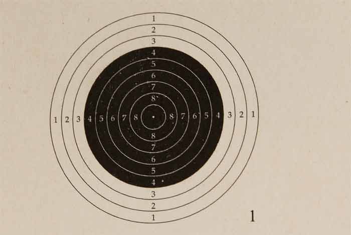 National Target Air Rifle Target, 12 Bullseye, 100 ct