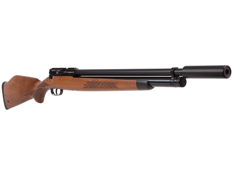 Winchester Big Bore Air Rifle Model 70 - Caliber 0.45 - FPS 670