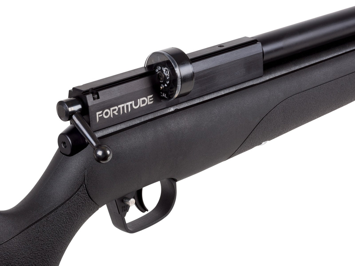 Benjamin Fortitude Gen. 2 PCP Air Rifle, Regulated - Caliber 0.177 - FPS 950
