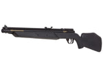 Benjamin Variable Pump Air Rifle, Black - Caliber 0.22 - FPS 800