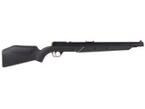 Benjamin Variable Pump Air Rifle, Black - Caliber 0.22 - FPS 800