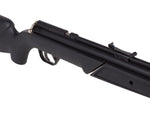 Benjamin Variable Pump Air Rifle, Black - Caliber 0.22 - FPS 800