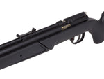 Benjamin Variable Pump Air Rifle, Black - Caliber 0.22 - FPS 800