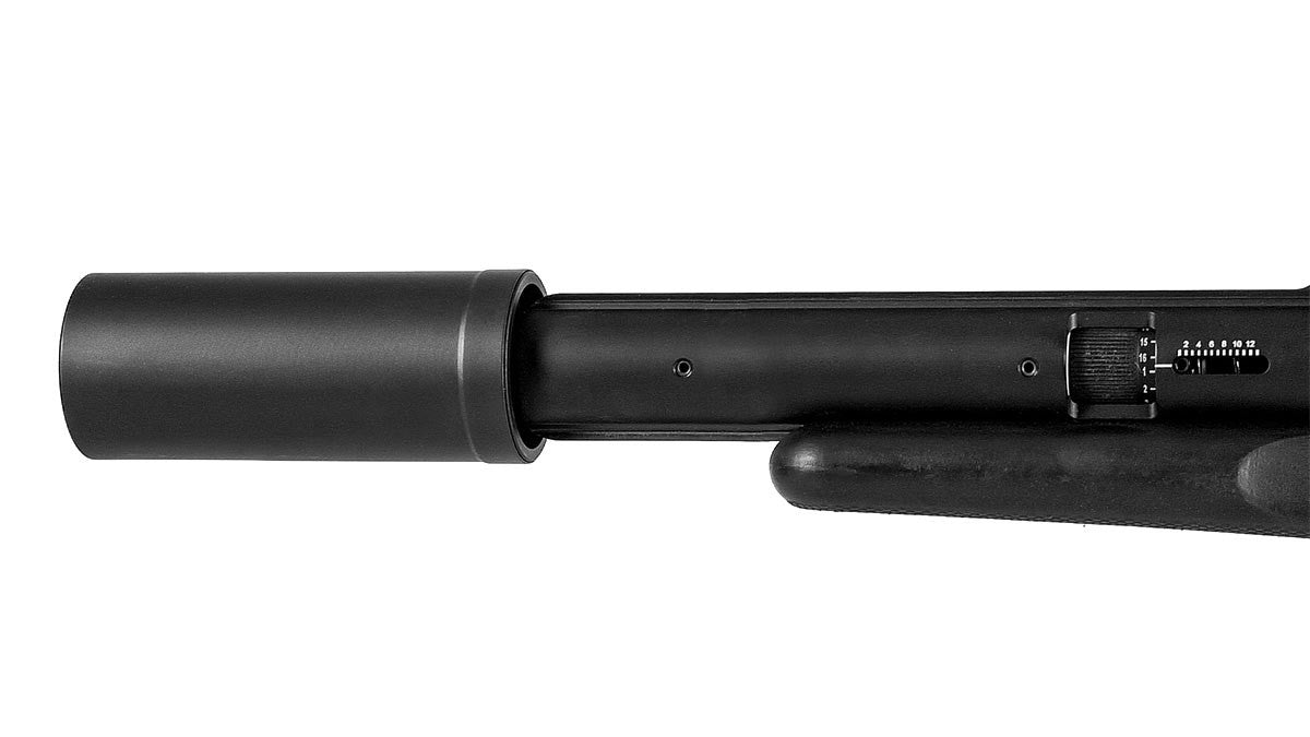 AirForce TalonP Carbine - Caliber 0.25 - FPS 900