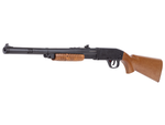 Winchester Model 12 Youth Pump BB Rifle - Caliber 0.177 - FPS 350