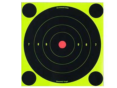 Birchwood Casey Shoot-N-C Targets, 8" Bullseye, 30 Targets + 120 Pasters