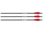 Barnett HeadHunter 20" Lighted Arrows, 3 Pack