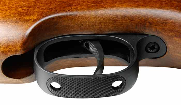 Diana RWS 48 Striker Combo, TO6 Trigger - Caliber 0.22 - FPS 900