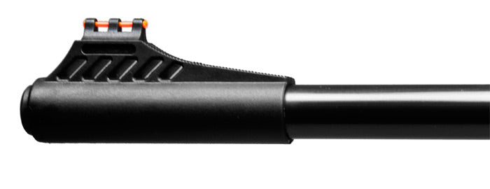 Ruger Air Magnum Combo - Caliber 0.22 - FPS 1200